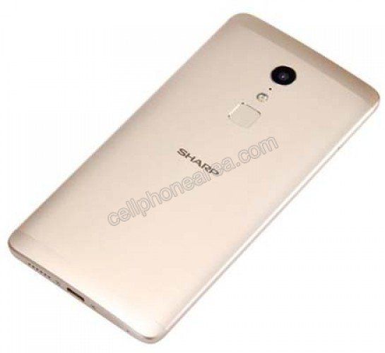 Sharp Z2 Gold Back