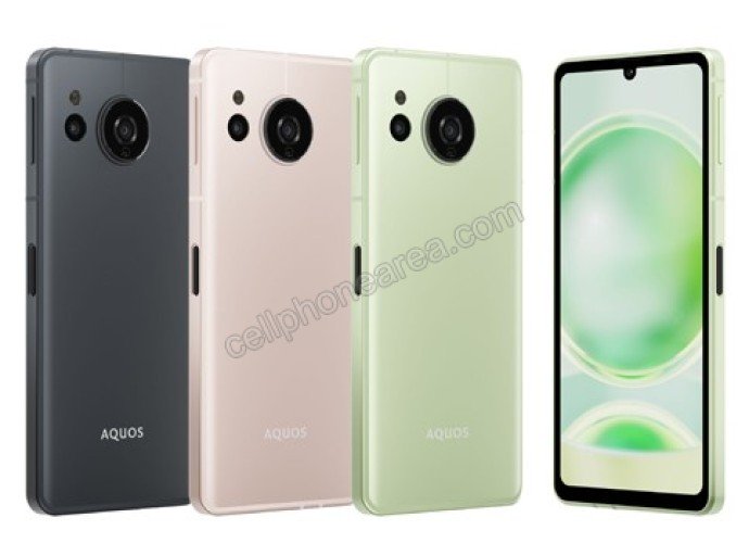 Sharp Aquos sense8 colors